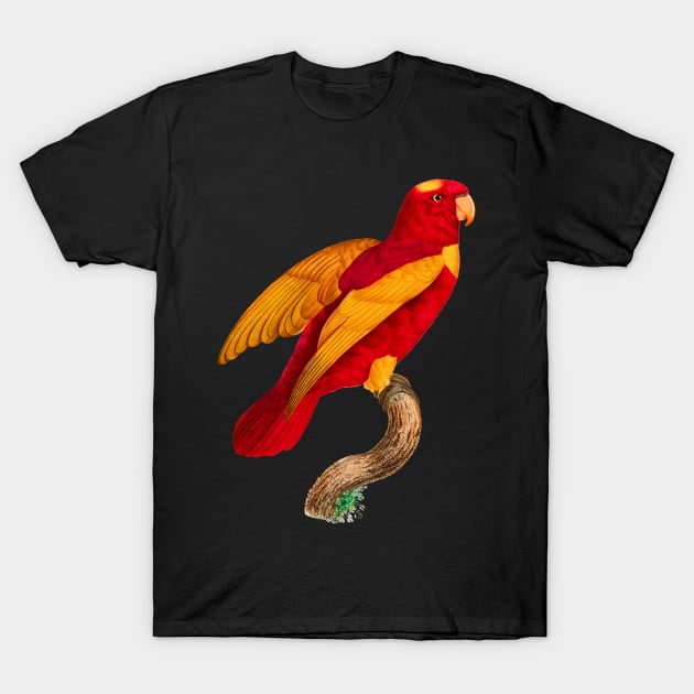 Black Panther Art - Beautiful Parrot 1 T-Shirt by The Black Panther